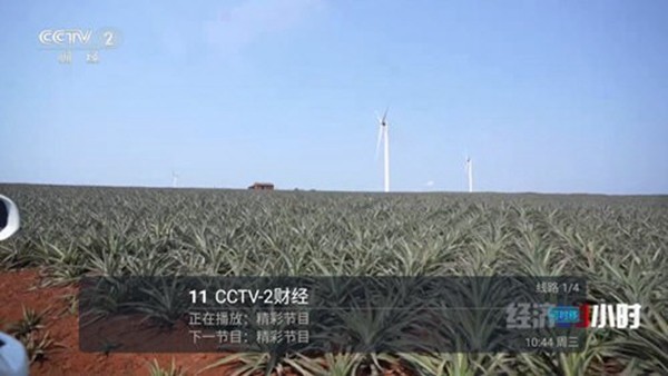 zaltv电视直播app_https://www.toolscha.com_影音播放_第1张
