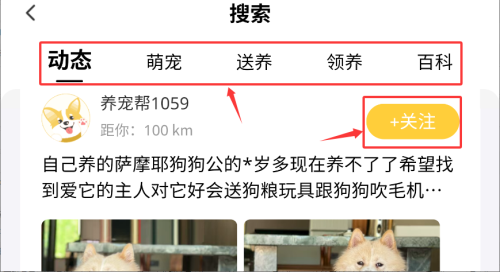 养宠帮宠物托运官方版_便捷生活_第3张_吐司下载站 养宠帮宠物托运官方版_https://www.toolscha.com_便捷生活_第3张