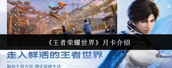 王者荣耀世界月卡怎么样_https://www.toolscha.com_游戏攻略_第1张