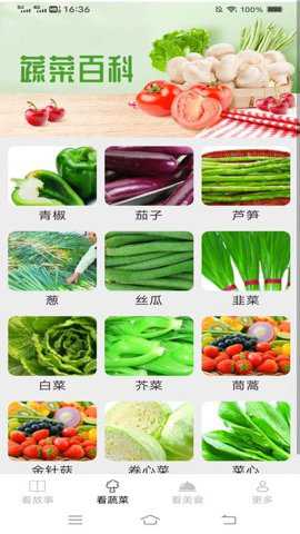 小鹿爱看下载_https://www.toolscha.com_便捷生活_第3张