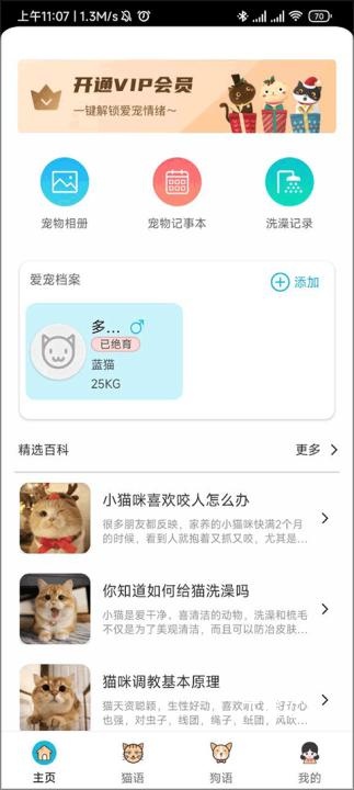 猫语交流翻译器完整版_https://www.toolscha.com_便捷生活_第4张