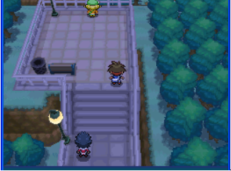 口袋妖怪黑白2单机版_https://www.toolscha.com_休闲益智_第5张