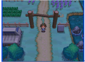 口袋妖怪黑白2单机版_https://www.toolscha.com_休闲益智_第7张