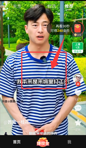 枫以视频赚钱app_https://www.toolscha.com_影音播放_第2张