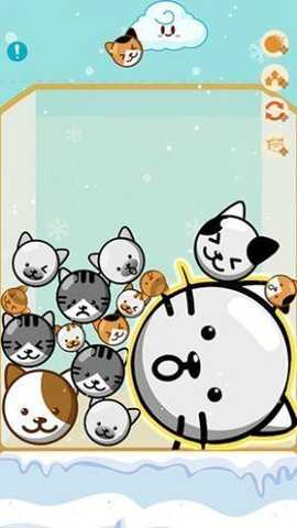 甜瓜之寒水果掉落下载_https://www.toolscha.com_休闲益智_第1张