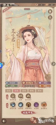 《这城有良田》文成公主装备推荐_https://www.toolscha.com_游戏攻略_第3张