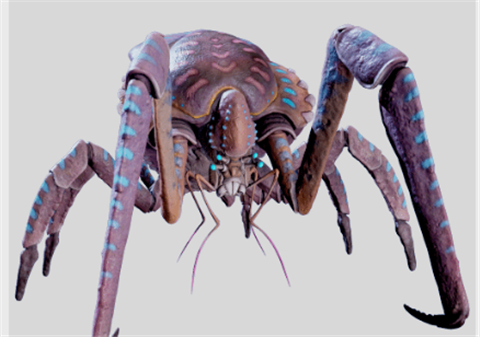 深海迷航2珊瑚蟹生物图鉴_https://www.toolscha.com_游戏攻略_第2张