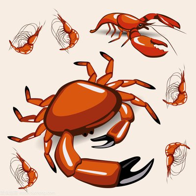 万物皆可蟹动物进化万毒盾反流怎么玩_https://www.toolscha.com_游戏攻略_第1张