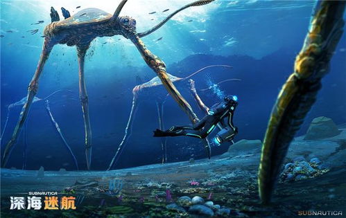 深海迷航2异星水域开局无限电玩法_游戏攻略_第1张_吐司下载站 深海迷航2异星水域开局无限电玩法_https://www.toolscha.com_游戏攻略_第1张