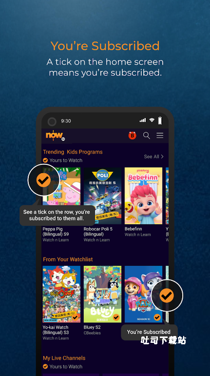 Play Now_https://www.toolscha.com_影音播放_第1张