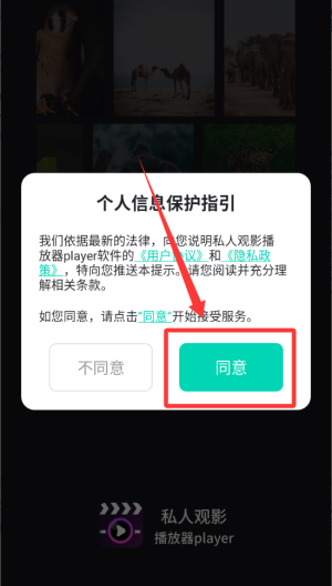私密观影播放器下载_https://www.toolscha.com_影音播放_第1张