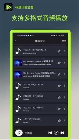 4K循环播放器下载_https://www.toolscha.com_影音播放_第1张