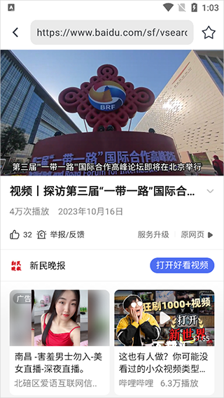 熊猫浏览器_https://www.toolscha.com_便捷生活_第1张
