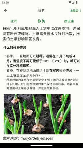 鱼菜记下载_https://www.toolscha.com_便捷生活_第2张
