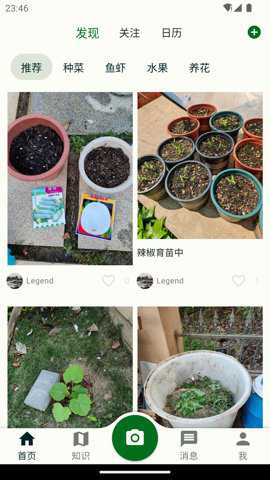 鱼菜记下载_https://www.toolscha.com_便捷生活_第4张