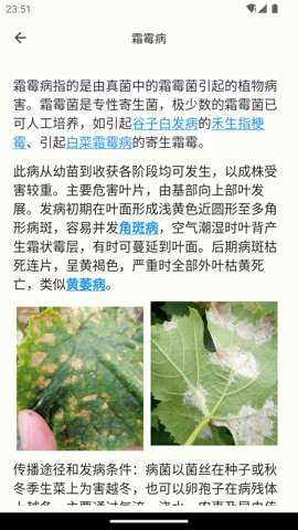 鱼菜记下载_https://www.toolscha.com_便捷生活_第3张