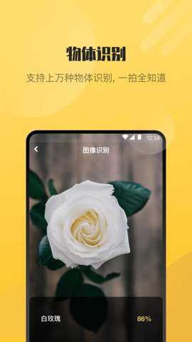 AI爱识别下载_https://www.toolscha.com_摄影图像_第2张
