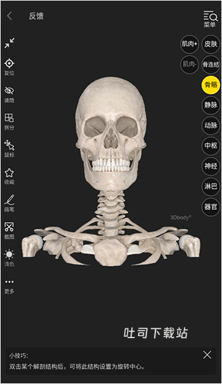 3DBody_https://www.toolscha.com_便捷生活_第3张
