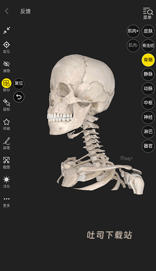 3DBody_https://www.toolscha.com_便捷生活_第4张