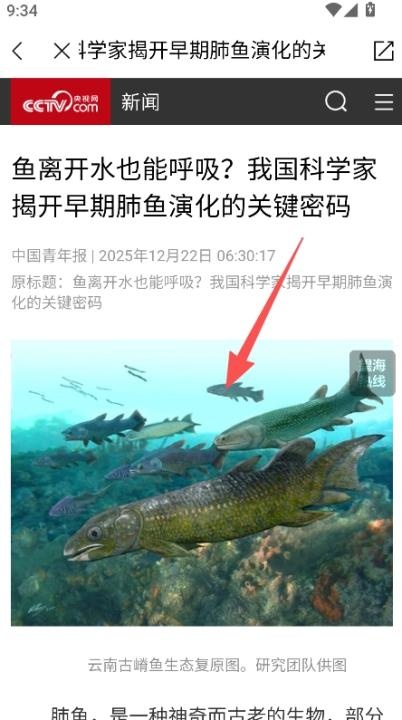 大美久治下载_https://www.toolscha.com_便捷生活_第3张