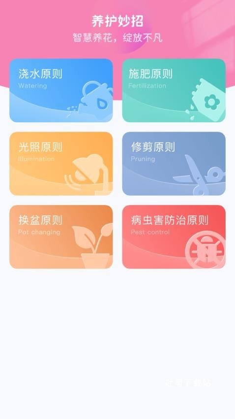 妙手生花_便捷生活_第1张_吐司下载站 妙手生花_https://www.toolscha.com_便捷生活_第1张