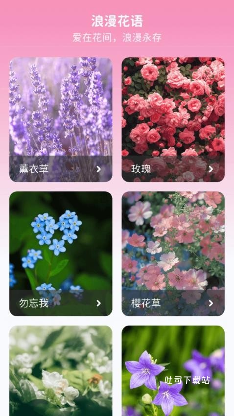 妙手生花_便捷生活_第2张_吐司下载站 妙手生花_https://www.toolscha.com_便捷生活_第2张
