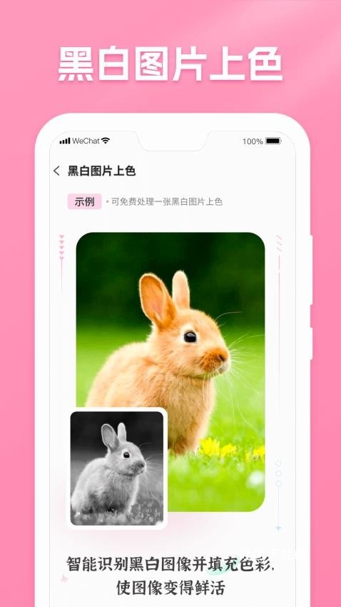 极速照片恢复助手_https://m.toolscha.com_便捷生活_第1张