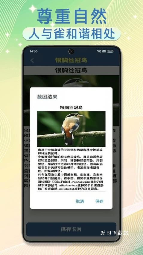 雀实有趣极速版_便捷生活_第2张_吐司下载站 雀实有趣极速版_https://www.toolscha.com_便捷生活_第2张