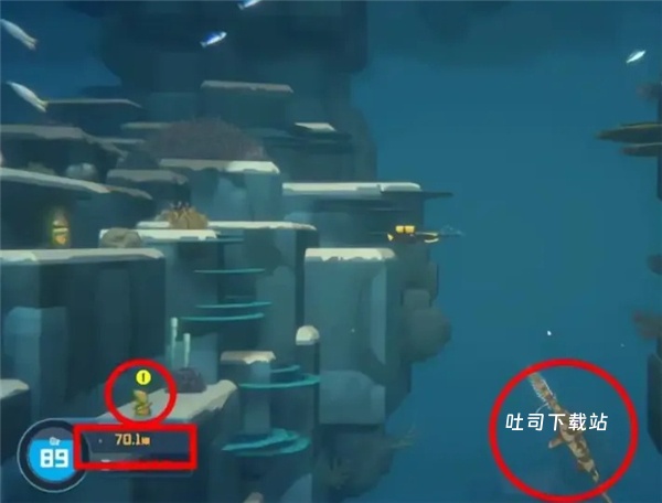 潜水员戴夫怎获取鲛人族遗物教程_游戏攻略_第2张_吐司下载站 潜水员戴夫怎获取鲛人族遗物教程_https://www.toolscha.com_游戏攻略_第2张