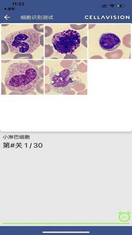 cellatlas下载_https://www.toolscha.com_系统工具_第2张