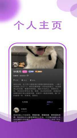 抖爽下载_影音播放_第2张_吐司下载站 抖爽下载_https://www.toolscha.com_影音播放_第2张