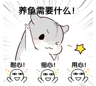 萌鱼泡泡_休闲益智_第4张_吐司下载站 萌鱼泡泡_https://www.toolscha.com_休闲益智_第4张