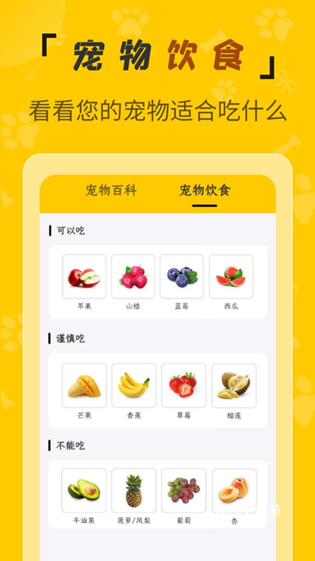 人猫翻译机_便捷生活_第3张_吐司下载站 人猫翻译机_https://www.toolscha.com_便捷生活_第3张