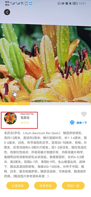 拍照识物会员解锁版_https://www.toolscha.com_系统工具_第3张