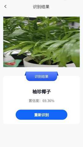 精灵爱测量_https://www.toolscha.com_便捷生活_第2张