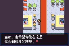 口袋妖怪mega零世界_https://www.toolscha.com_模拟经营_第16张
