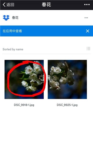 dropbox 安卓版_系统工具_第2张_吐司下载站 dropbox 安卓版_https://www.toolscha.com_系统工具_第2张