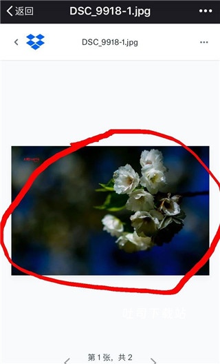 dropbox 安卓版_系统工具_第3张_吐司下载站 dropbox 安卓版_https://www.toolscha.com_系统工具_第3张