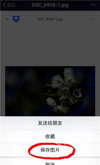 dropbox 安卓版_系统工具_第4张_吐司下载站 dropbox 安卓版_https://www.toolscha.com_系统工具_第4张